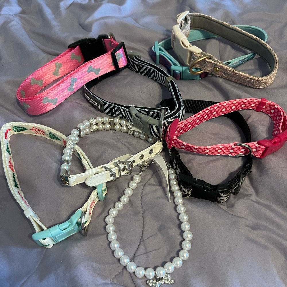 Assorted Dog Collars with Various Designs